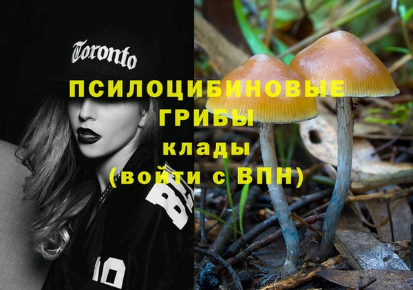 индика Заволжье