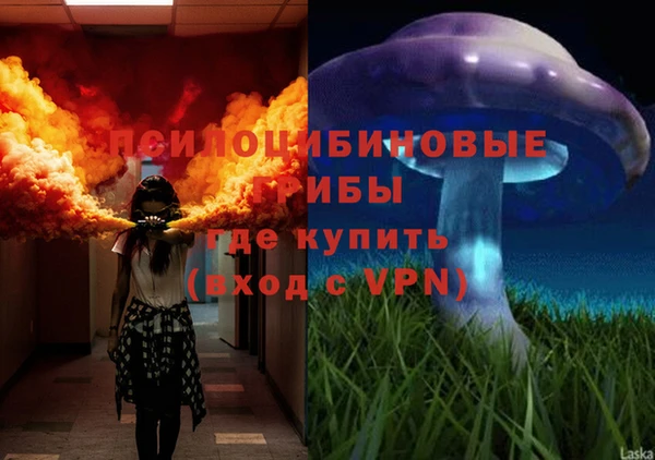 стафф Зеленодольск