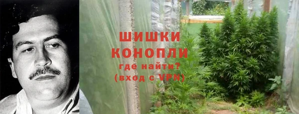 PSILOCYBIN Зеленокумск